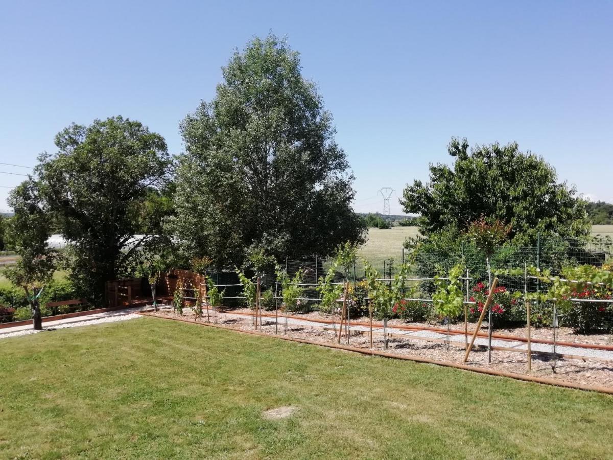 Le Du Moulin Apartment Lagardelle-sur-Leze